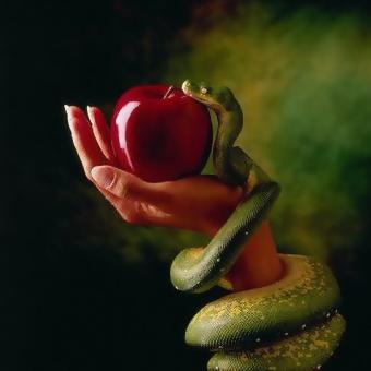 The Fall of Man